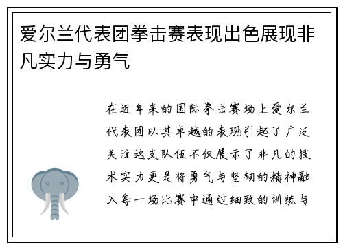 爱尔兰代表团拳击赛表现出色展现非凡实力与勇气