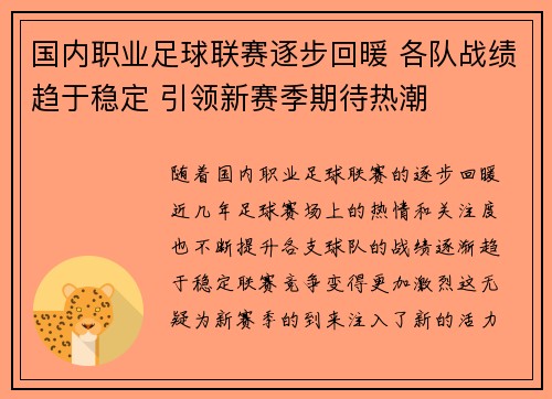 国内职业足球联赛逐步回暖 各队战绩趋于稳定 引领新赛季期待热潮