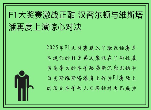 F1大奖赛激战正酣 汉密尔顿与维斯塔潘再度上演惊心对决