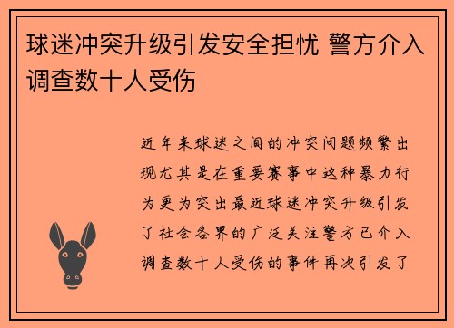 球迷冲突升级引发安全担忧 警方介入调查数十人受伤