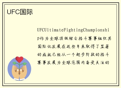 UFC国际